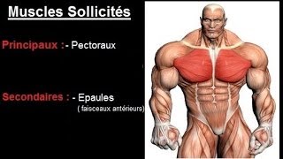 Exercice musculation Pectoraux  quot Écarté à la Poulie quot [upl. by Liberati]