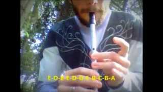 Evenstar  Tin Whistle Tutorial The Lord of the Rings [upl. by Sigfrid163]