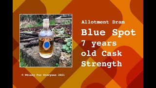 Blue Spot 7 years old Cask Strength  Allotment Dram [upl. by Idnahc257]