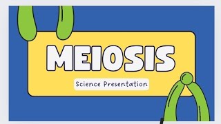 simple and easiest way of meiosisstages crossing over diffbw meiosis1 and 2The Vibes [upl. by Anyrb]