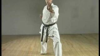 Shito Ryu Karate Lesson [upl. by Emsoc]