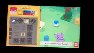 Shiny Voltorb in Pokémon Quest Evolve into Electrode [upl. by Inahs]