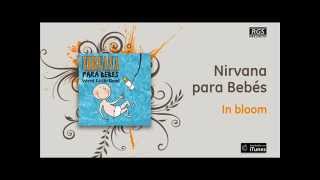 Nirvana para Bebés  In bloom [upl. by Araed]