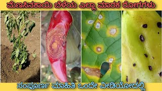 Chilli All disease in 1 video  Only video you need to watch for chilli diseases  Dr A Venugopal [upl. by Averir]