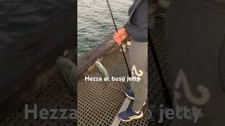 Herring fishing at Busselton jetty [upl. by Galven]