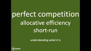 Allocative Efficiency in Perfect Competition  IB Theory of the Firm  Market Power [upl. by Arabella]