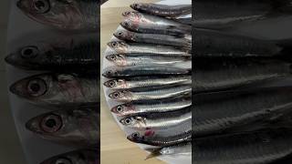 How to clean and make anchovy fillets quickly  Cleaning Fish 5minutecrafts seafood foodie [upl. by Zilada]