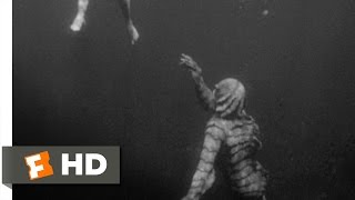 Creature from the Black Lagoon 710 Movie CLIP  Underwater Hunt 1954 HD [upl. by Revlis394]