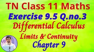 Class 11 Maths  Exercise 95 QNo3  Limits and Continuity  Alexmaths Tamil Nadu New Syllabus [upl. by Lanta]