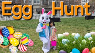 Easter bunny egg hunt ideas  Easter egg hunt near me easter2024 easter egghunt2024 easteregg [upl. by Sachi634]