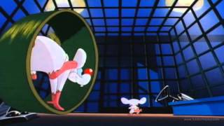 Pinky y Cerebro  Tratar de conquistar al mundo HD [upl. by Berrie]