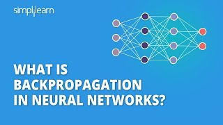 Backpropagation in Neural Networks  Back Propagation Algorithm with Examples  Simplilearn [upl. by Danny]