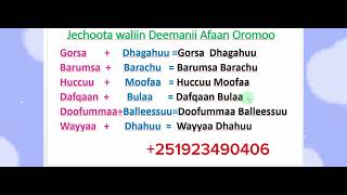 Afaan Oromoo Jechoota waliin Deemanii study Afaan OromooAmharic English letters [upl. by Oicelem]