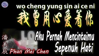 💖【好歌重现】Wo Cheng Yung Sin Ai Ce Ni  Phan Mei Chen  我曾用心爱着你 （潘美辰） [upl. by Ydac935]