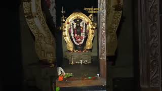 Ayyappa mandir Dombivli youtubeshorts 🌷🙏🌷 [upl. by Manbahs874]