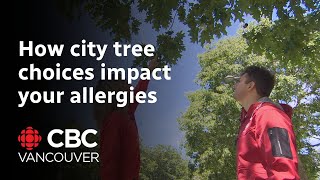 Why planting 100000 trees in Vancouver isnt as easy as it sounds [upl. by Aicirpac]