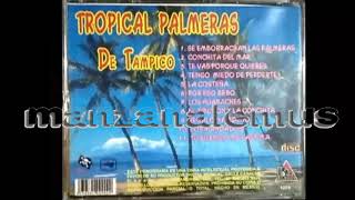 TROPICAL PALMERAS DE TAMPICO CD COMPLETO [upl. by Cozmo]