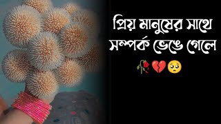 কষ্টের কিছু কথা  কবিতা  Koster kichu kotha  Kobita  Kosto  প্রিয় মানুষের সাথে সম্পর্ক ভেঙে গেলে [upl. by Arihs847]