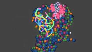 A Glimpse of the RNA World Ribozyme RNase P Bound with tRNA [upl. by Inalaehon31]