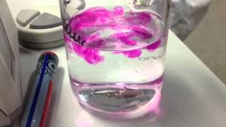 NaOH  Phenolphthalein [upl. by Nonrev625]