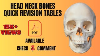 🔥36 Head and Neck Bones  Quick Revision🔥 Skull  Cervical Vertebrae  Ossicles  Anatomy Decoded [upl. by Cira944]