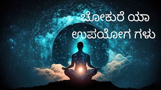 ಚೋಕುರೆ ಯಾ ಉಪಯೋಗ ಗಳು  Benifits of Cho Ku Rei reiki meditation viral [upl. by Nnylear]