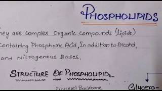 PHOSPHOLIPIDS BIOCHEMISTRY  GLYCEROPHOSPHOLIPID AND SPHINGOMYELIN  STRUCTURE AND FUNCTION [upl. by Altaf]