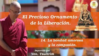 La meditación en la bondad amorosa y la compasión [upl. by Eesyak225]