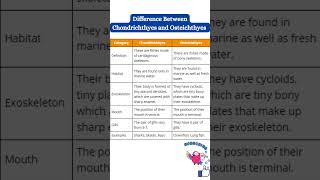 Difference between osteichthyes and chondrichthyes shorts biology Biologymagnification [upl. by Strader]