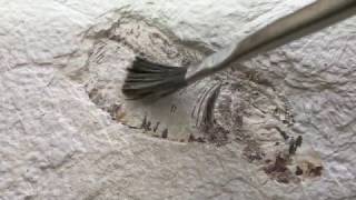 ASMR  Excavation Kit Fossil  No Talking Brushing Scratching [upl. by Ientirb]