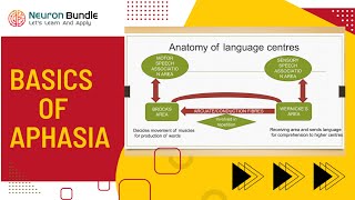 aphasia meaning  types of aphasia  wernickes amp brocas aphasia clinical features aphasia [upl. by Alysoun643]