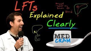 Liver Function Tests LFTs Explained Clearly by MedCramcom [upl. by Inger911]