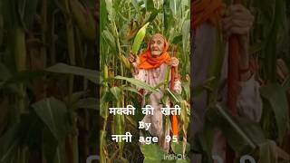 मक्की की खेती कैसेकर लेते हैं नानीcornfarming shortvideosviralvideos villagelifeinindia [upl. by Ellora329]