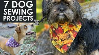 7 Things to Sew for Dogs  DIY Dog Projects [upl. by Haas]