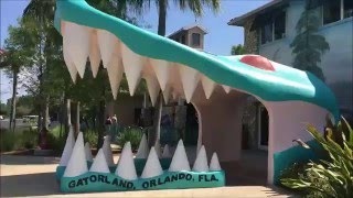 4K Gatorland Orlando Walkthrough POV [upl. by Noxin]