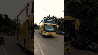 TIVIDI Line Jogja Sore basuri basuriv3 basuriv1 tividi [upl. by Forester]