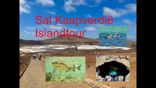 Things to do Sal cape Verd Sal Kaap Verdië Islandtour Sharkbay Salinas Blue Eye amp Natural poo [upl. by Pomfrey430]