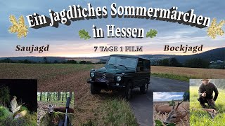 Ein jagdliches Sommermärchen in Hessen  7 JAGDTAGE 1 FILM [upl. by Rovelli]