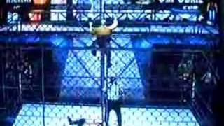 Rikishi Superfly splash from the top of the cage [upl. by Ainex49]