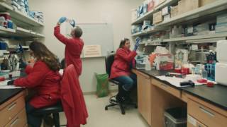 St Jude Researchers Mannequin Challenge [upl. by Otrevogir]