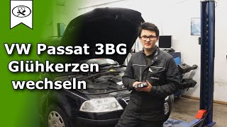 VW Passat 3BG Glühkerzen Wechseln  Change glow plugs  VitjaWolf  Tutorial  HD [upl. by Andros]