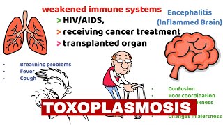 Toxoplasmosis Causes Symptoms and Preventions [upl. by Schnurr124]