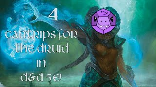 4 Cantrips for the Druid in DampD 5e [upl. by Ihcelek]