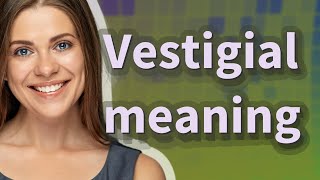 Vestigial  meaning of Vestigial [upl. by Nivak692]