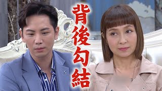 【一家團圓】EP147 Eden就是曹勝竟與千面女郎有往來 查理攤牌害承恩被拋棄XD│Family Reunion [upl. by Tatiania]