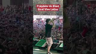 PRÉNDETE UN BLUNT EN EL VIVE LATINO 😎🇲🇽🔥 [upl. by Lita217]