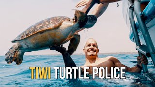 The Tiwi Turtle Police  Dean Schneider [upl. by Siocnarf920]