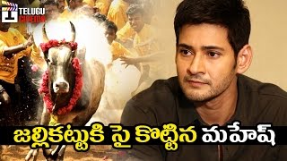 Mahesh Babu Supports Jallikattu  JusticeForJallikattu  Latest Telugu Movie News  Telugu Cinema [upl. by Dijam]