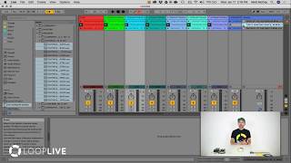 LoopLIVE Ableton for Beginners [upl. by Derdle175]