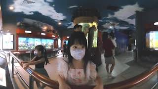 Vlog Penang Aquarium Jan 24 [upl. by Anneis]